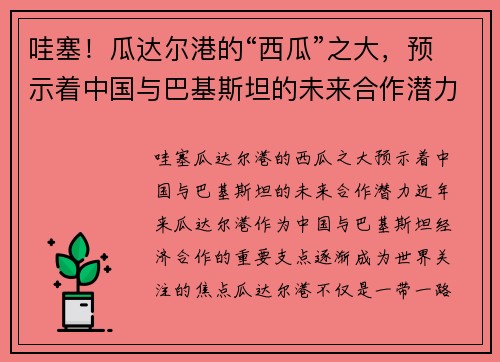 哇塞！瓜达尔港的“西瓜”之大，预示着中国与巴基斯坦的未来合作潜力