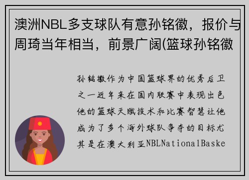 澳洲NBL多支球队有意孙铭徽，报价与周琦当年相当，前景广阔(篮球孙铭徽个人资料)
