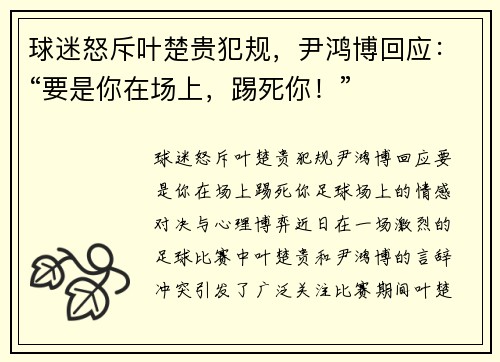 球迷怒斥叶楚贵犯规，尹鸿博回应：“要是你在场上，踢死你！”