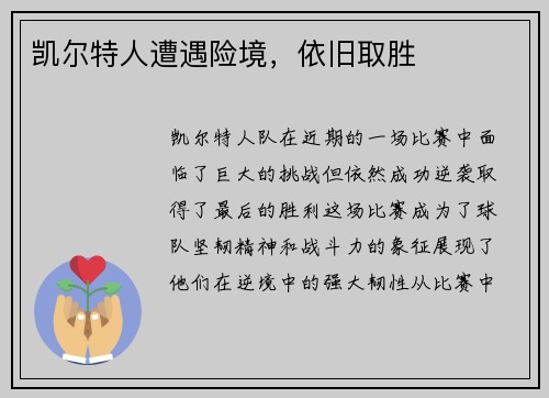凯尔特人遭遇险境，依旧取胜