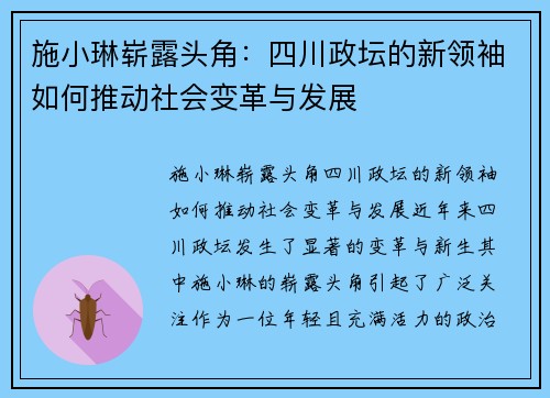 施小琳崭露头角：四川政坛的新领袖如何推动社会变革与发展